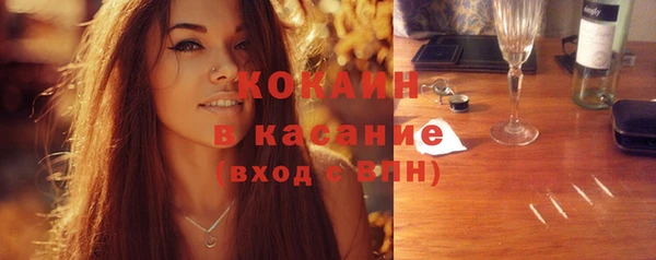 твердый Аркадак