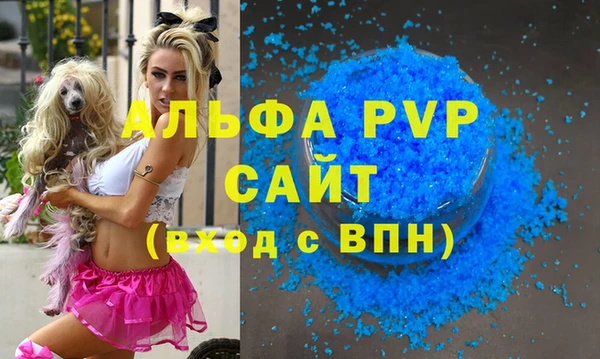стафф Арсеньев