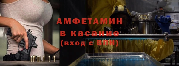 твердый Аркадак