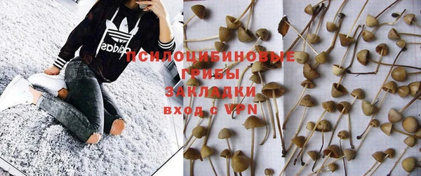 стафф Арсеньев