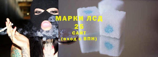стафф Арсеньев
