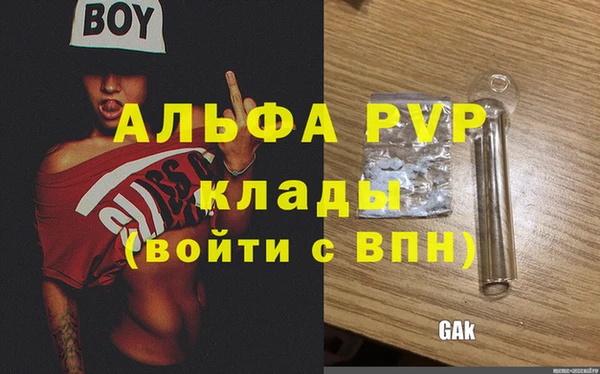 стафф Арсеньев