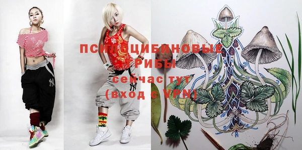 стафф Арсеньев