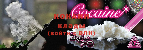 твердый Аркадак